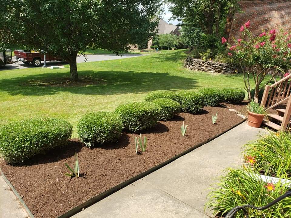 Victors Lawn and landscaping Image